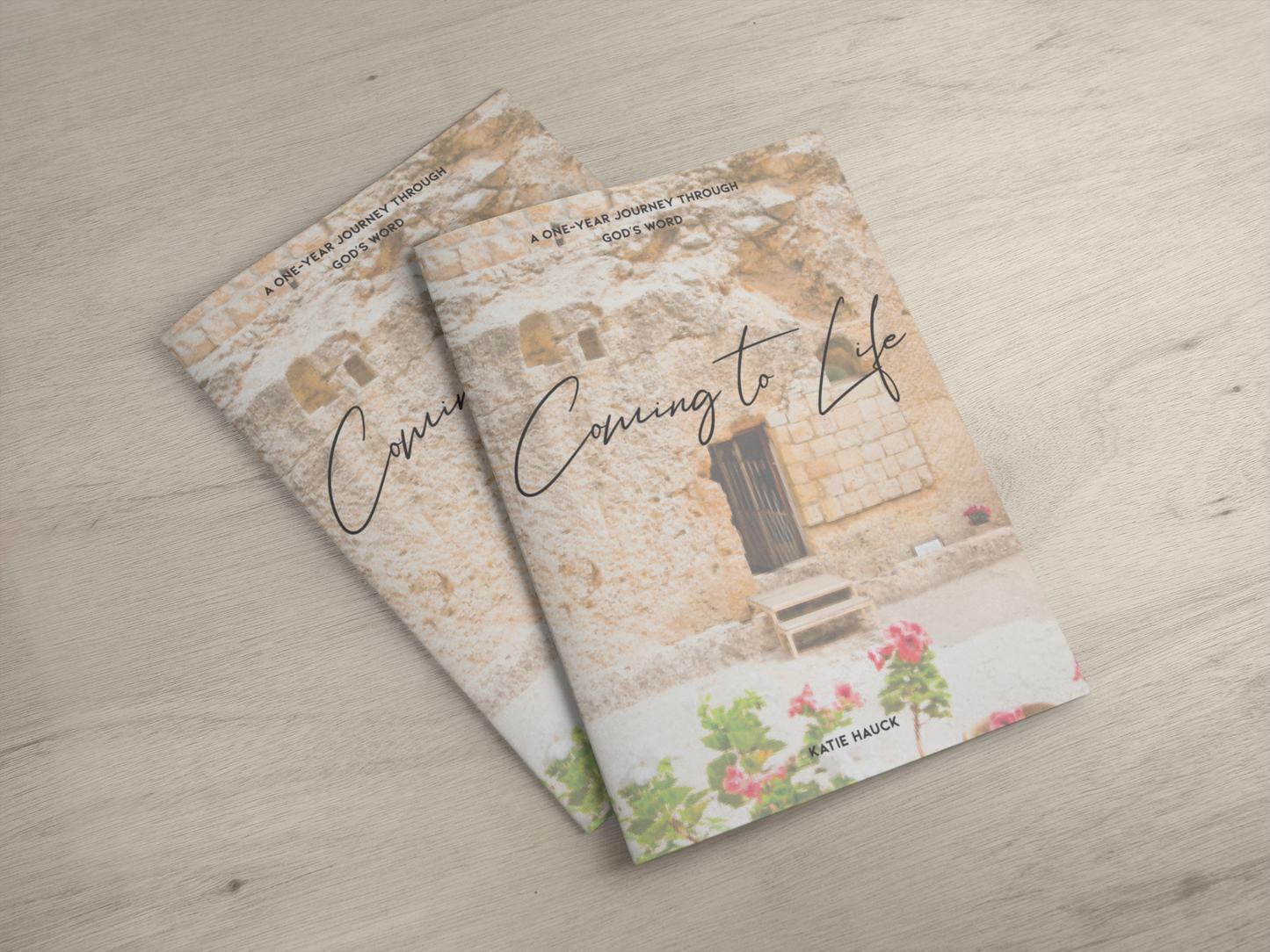 Coming To Life Workbook